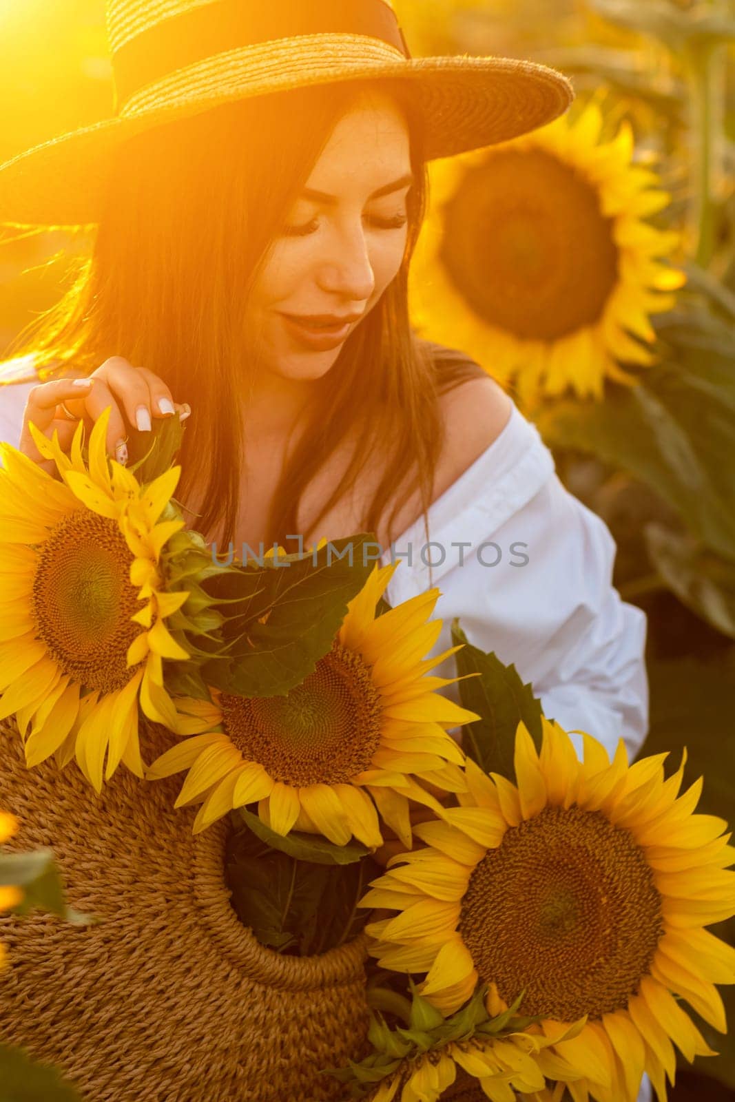 A girl in a hat on a beautiful field of sunflowers against the s by Matiunina