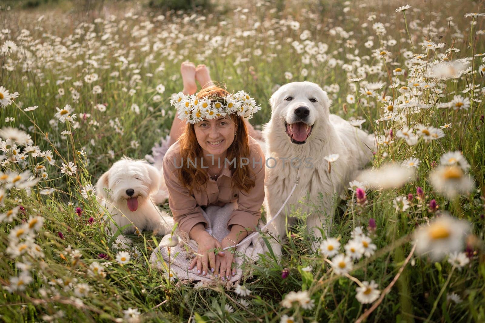 Woman dogs meadow chamomile. Woman embraces her furry friends in a serene chamomile field, surrounded by lush greenery. A heartwarming display of love and companionship between a woman and her dog. by Matiunina