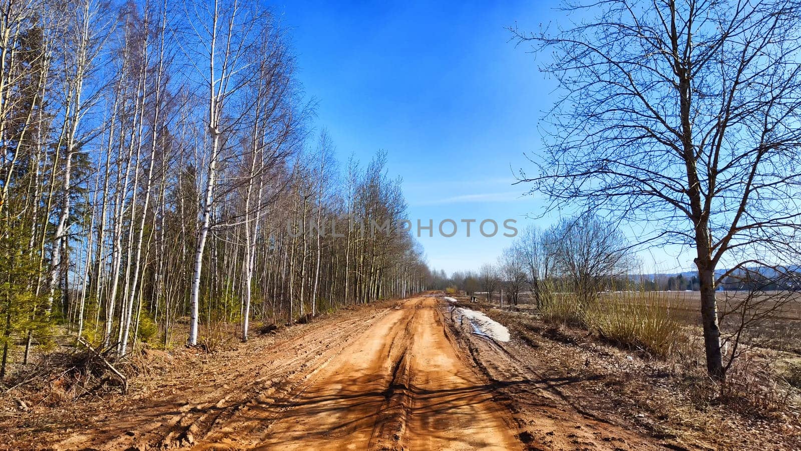 Dry dirt clay rural road in a field, stretching to the horizon in early spring. Rustic landscape