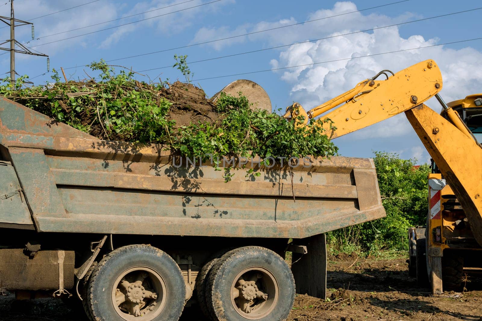 Excavator's powerful bucket dumps bushes and trees onto trailer. Clearing construction sites.