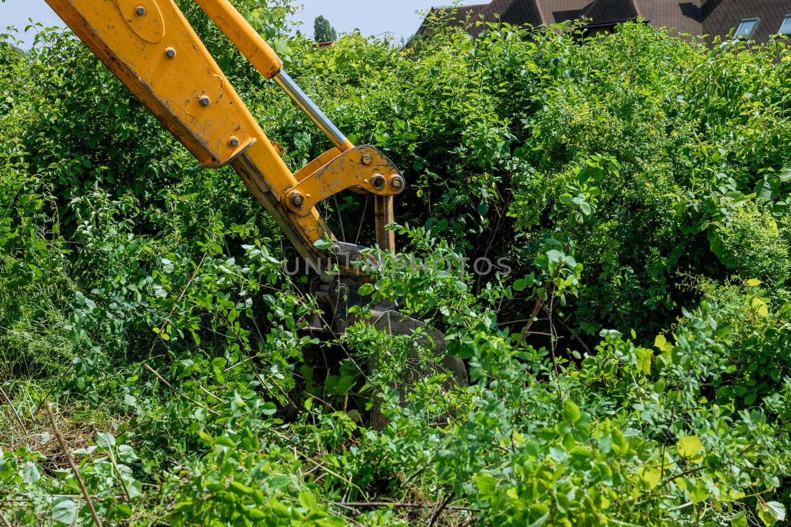 Powerful bucket of excavator efficiently removes bushes and trees from designated area. by Yaroslav