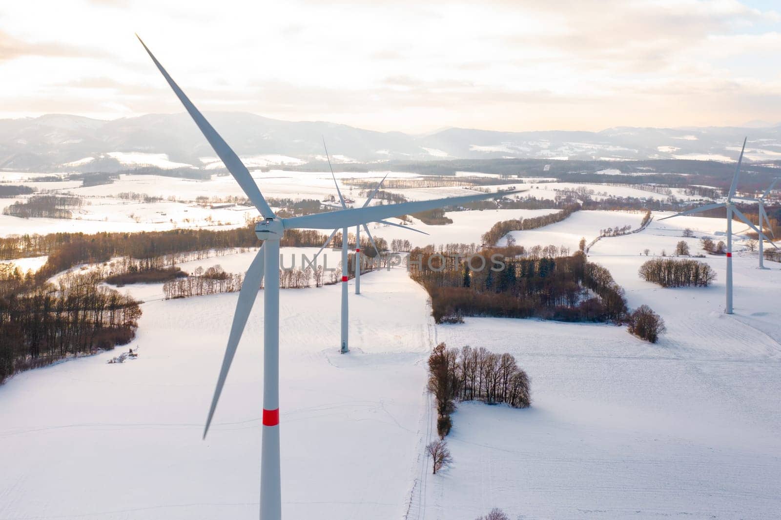 Amidst a frozen landscape with wind turbines, standing in the winter field at sunset.