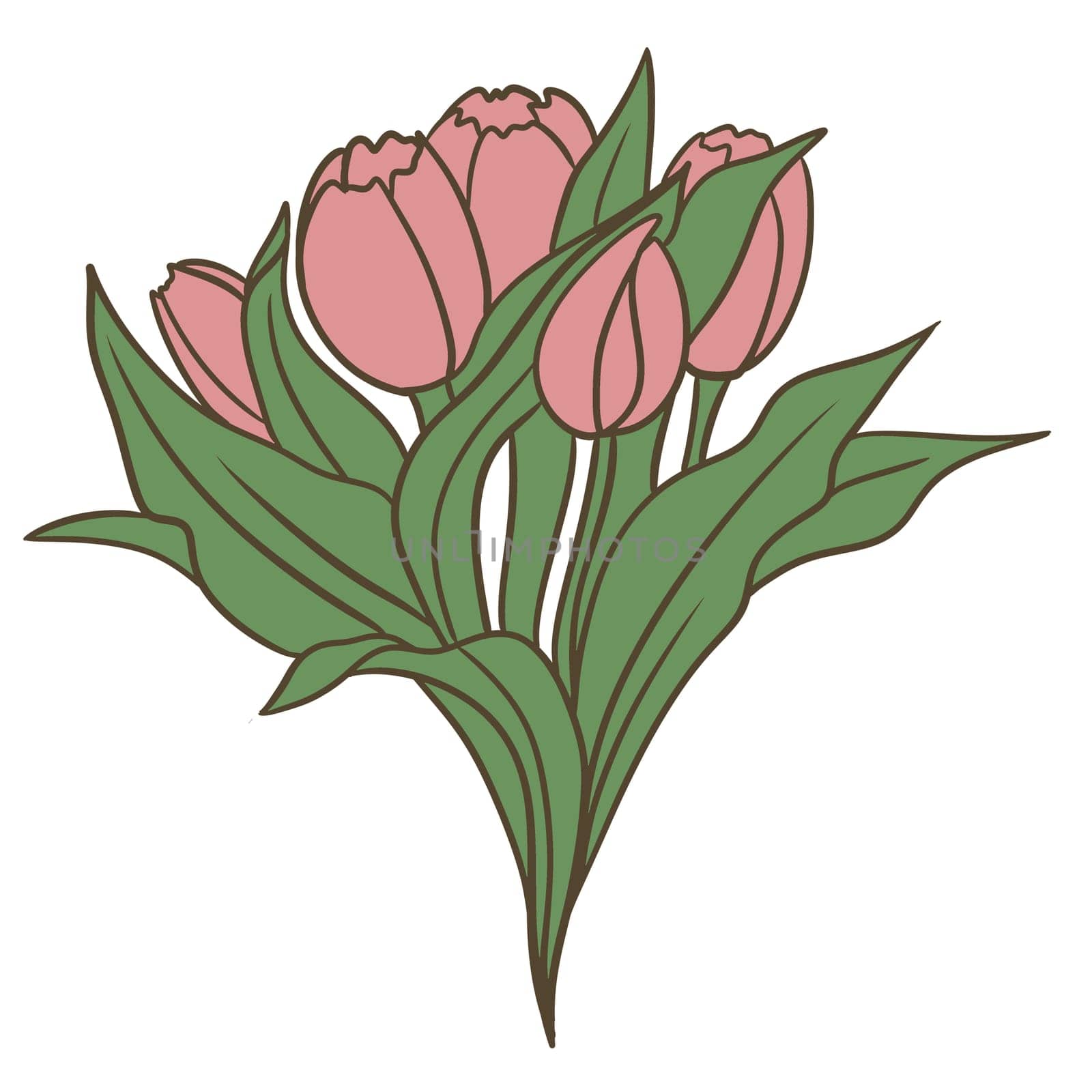 Hand drawn illsutration of two wild flowers rose tulip. Green leaves branch, pink blush orange flower floral petal blossom bloom. Spring summer elegant design. Three elegant flowers in bouquet, greeting print. by Lagmar