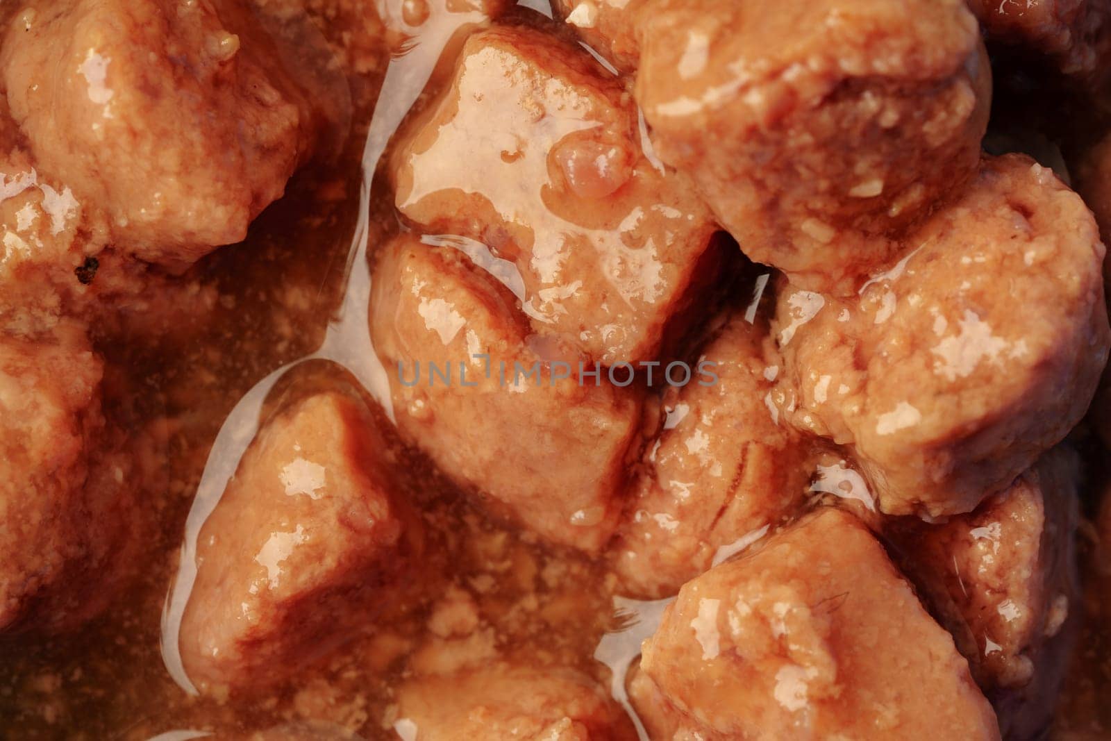 Wet pet food background top view photo close up