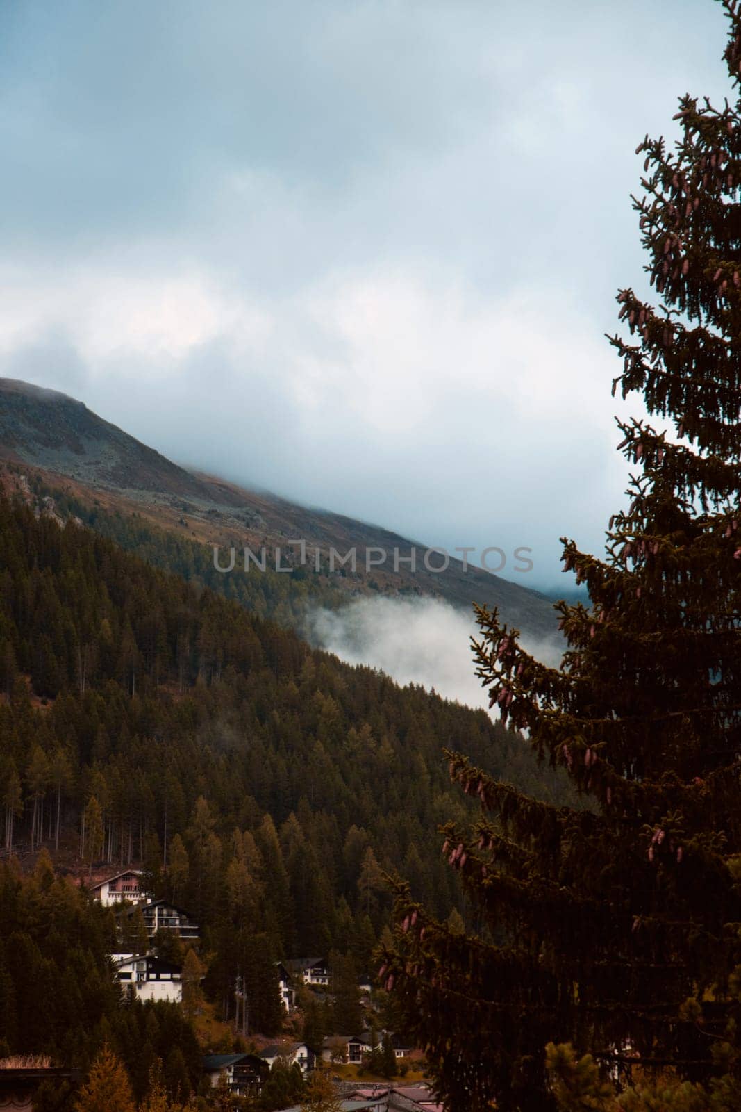 Autumn's Embrace: A Cozy Alpine Village Nestled Among Misty Pines Against a Mountainous Horizon. High quality photo