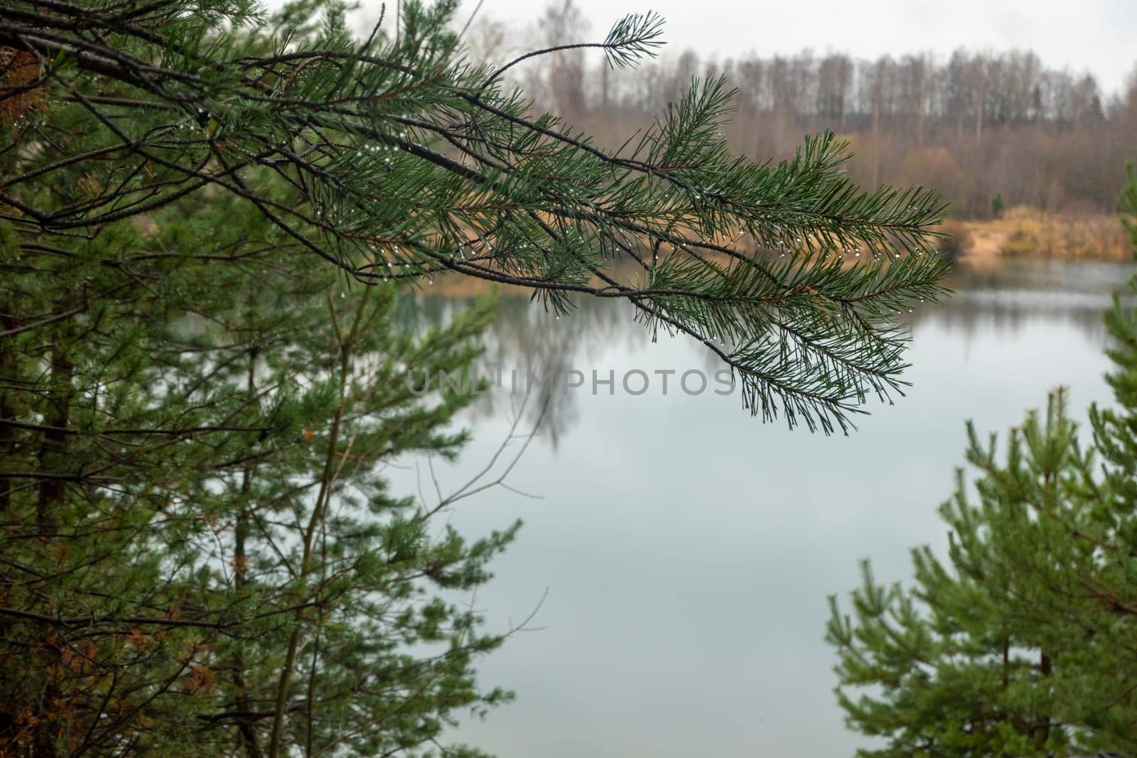 Autumn landscape by the lake and shore. Pond in autumn, yellow leaves, reflection. High quality photo