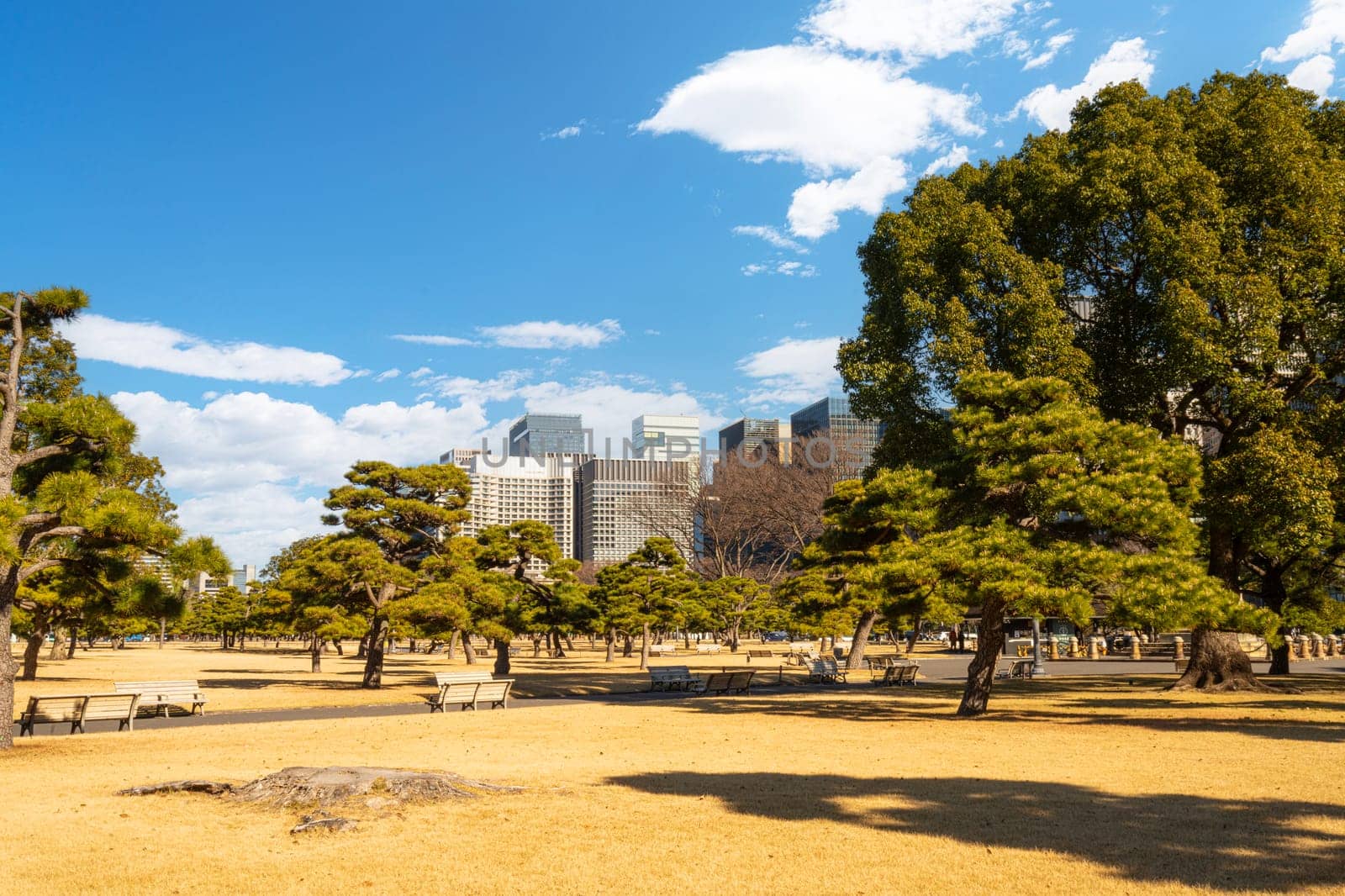 Tokyio, Japan. January 7, 2024.  panoramic view of Kokyo Gaien National Garden in the city center