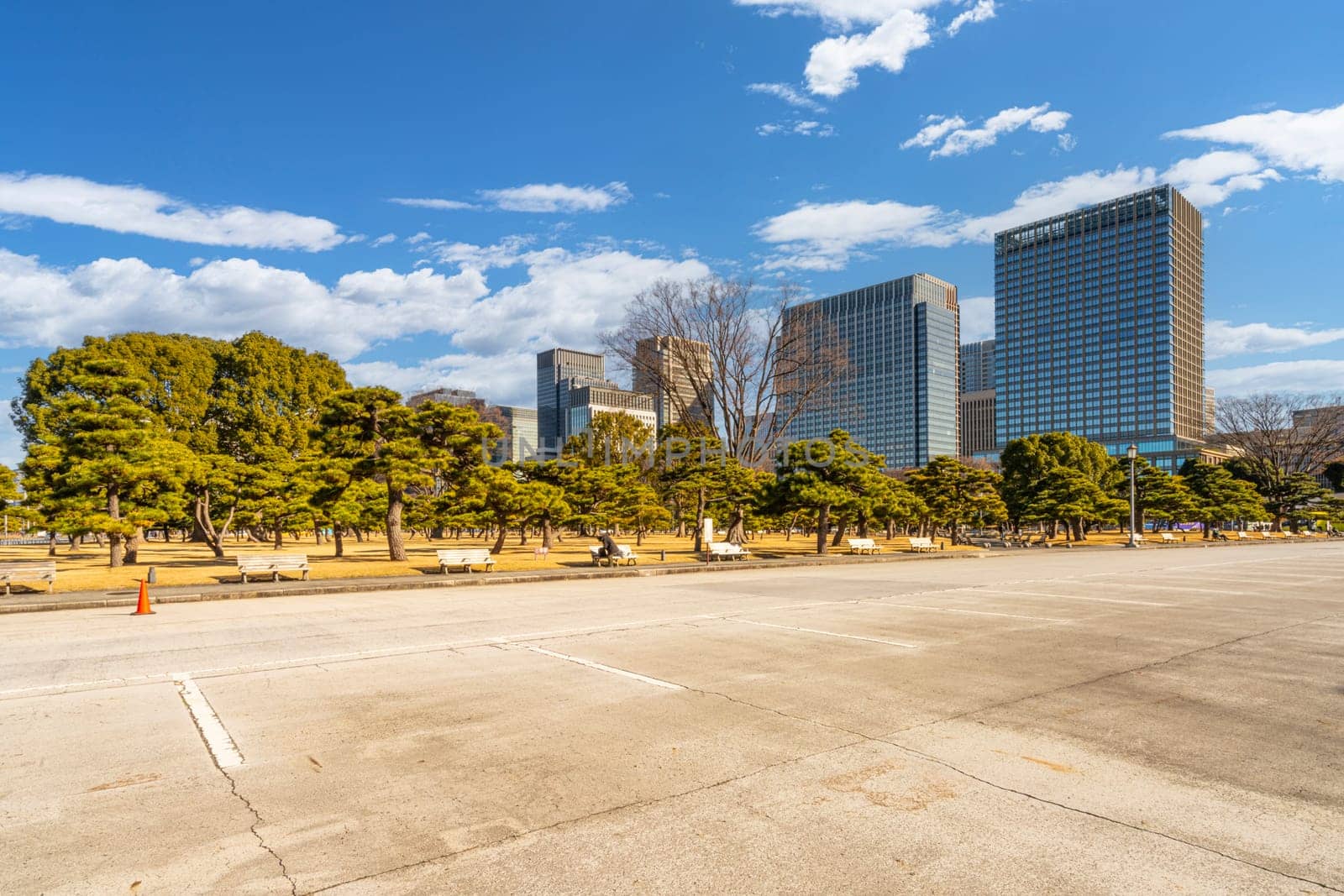 Kokyo Gaien National Garden in Tokyo, Japan by sergiodv