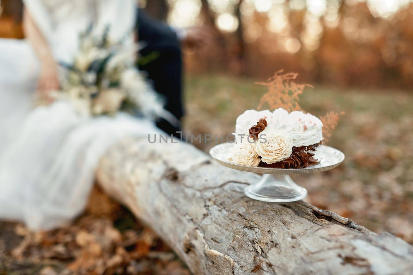 wedding autumn cake on the tree and wedding couple on the background