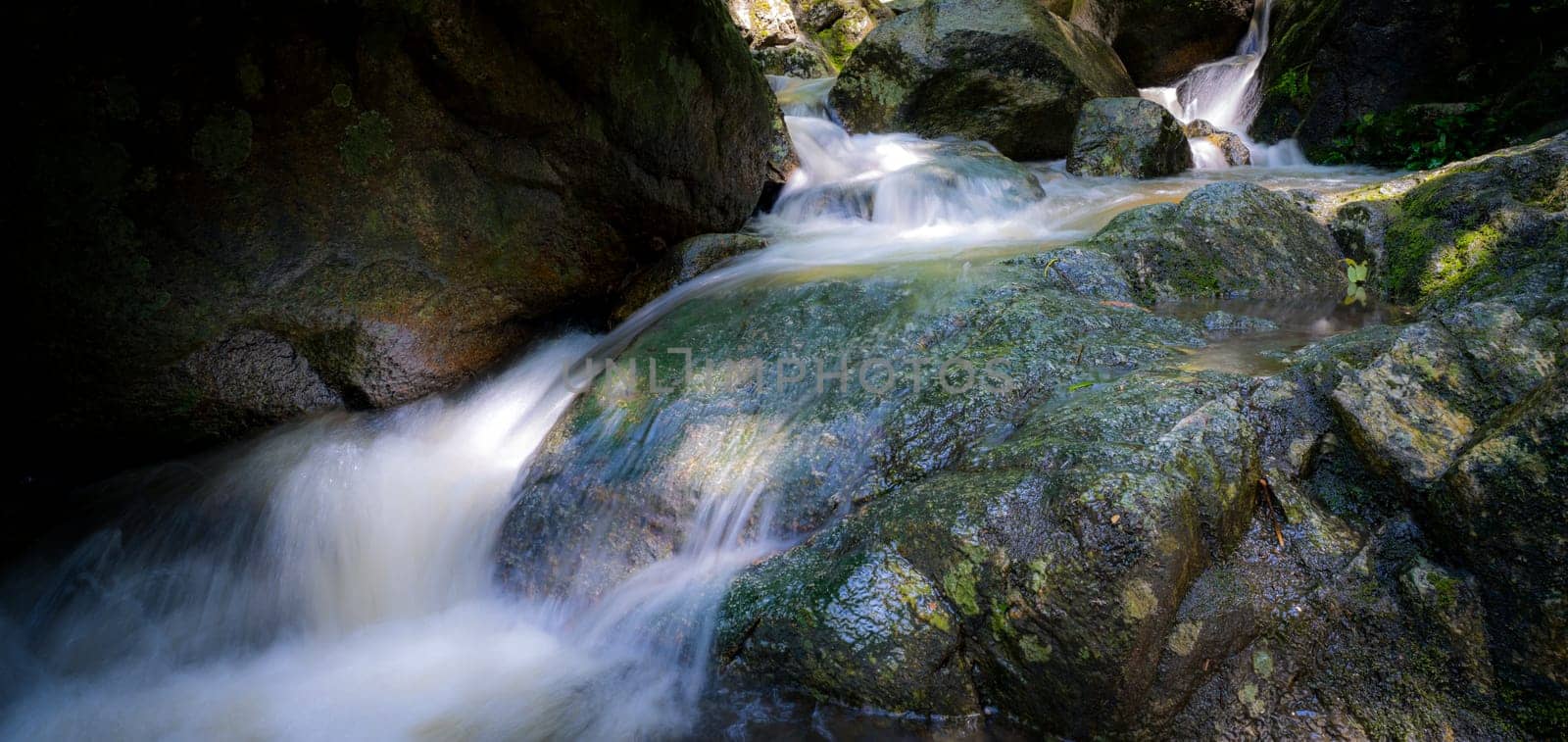 Waterfall is flowing in jungle. Waterfall in green forest. Mountain waterfall. Cascading stream in lush forest. Nature background. Rock or stone at waterfall. Water sustainability. Water conservation. by Fahroni