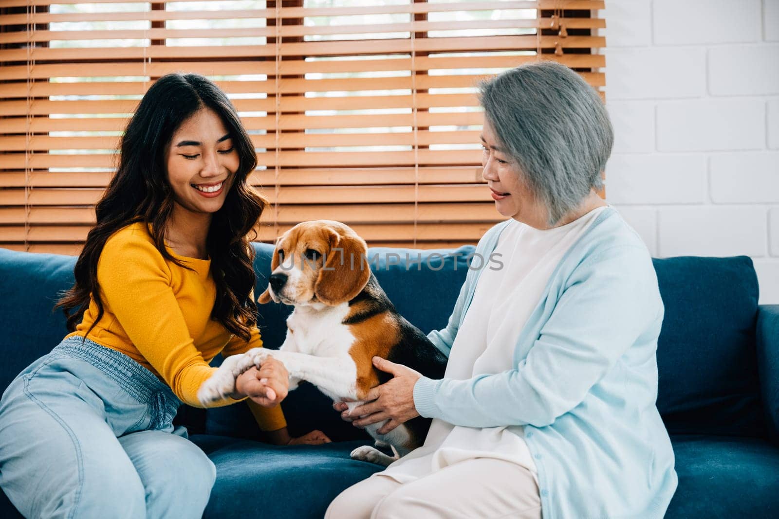 A woman and her mother, along with their Beagle dog, capture a heartwarming family portrait on the sofa at home. Their togetherness and loving bond bring happiness to their lives. Pet love by Sorapop