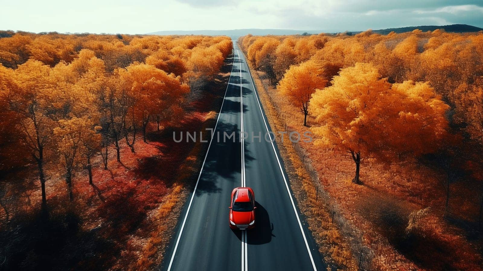 Top view car in autumn road 3d rendering.