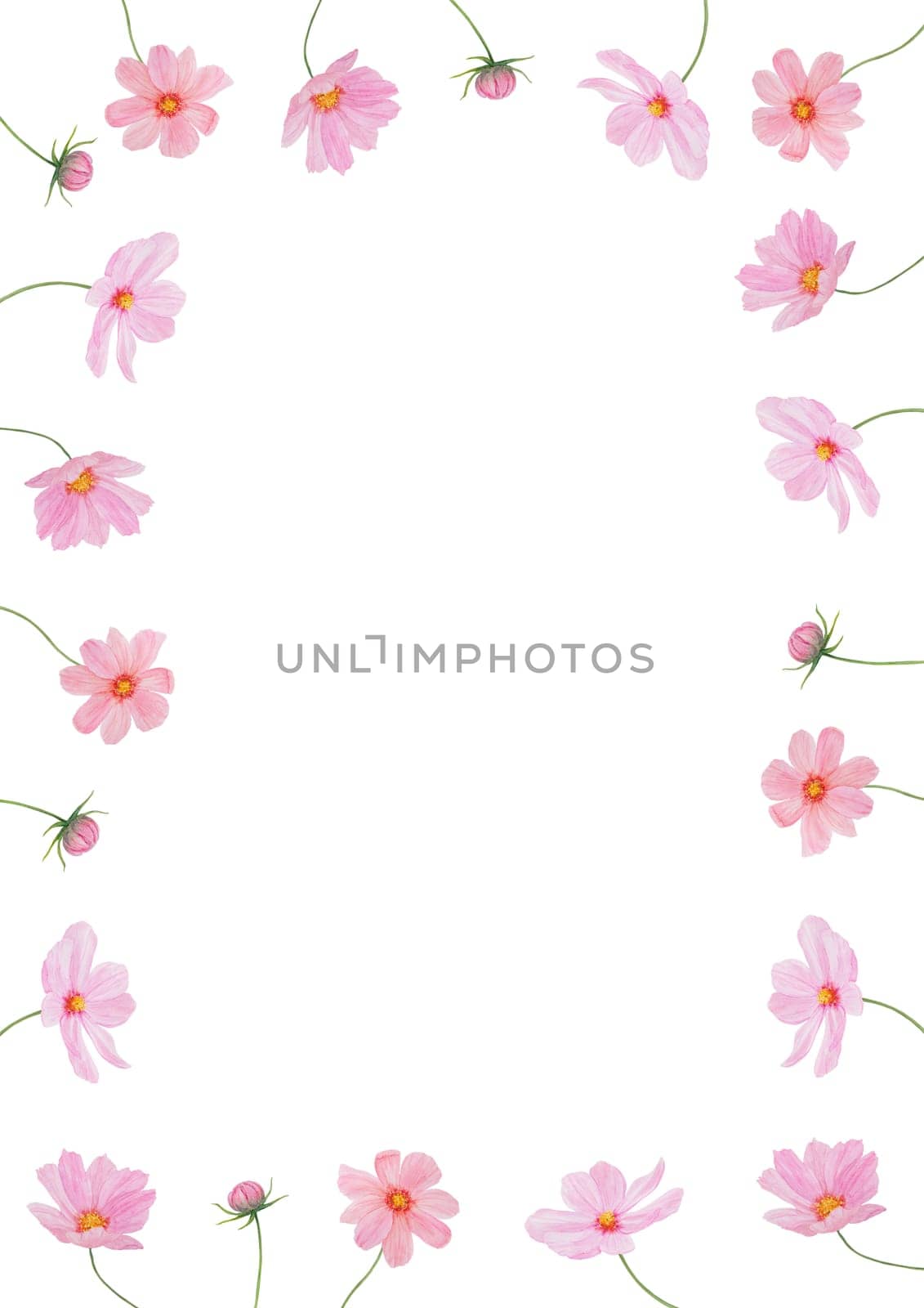 Garden pink Cosmos boquet watercolor illustration. Hand drawn botanical painting, floral sketch. Colorful preety flower clipart for summer or autumn design of wedding invitation, prints, greetings, sublimation, textile