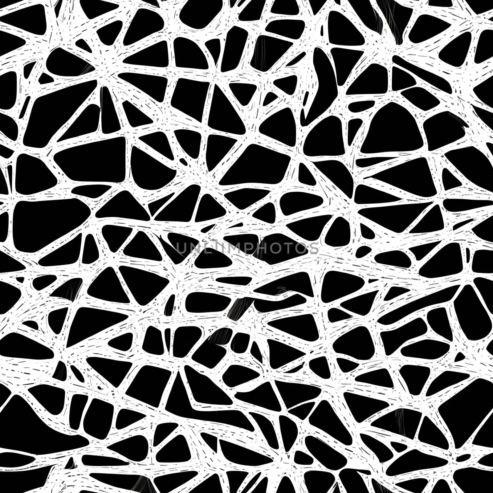 This photo showcases a detailed and intricate black and white seamless pattern.