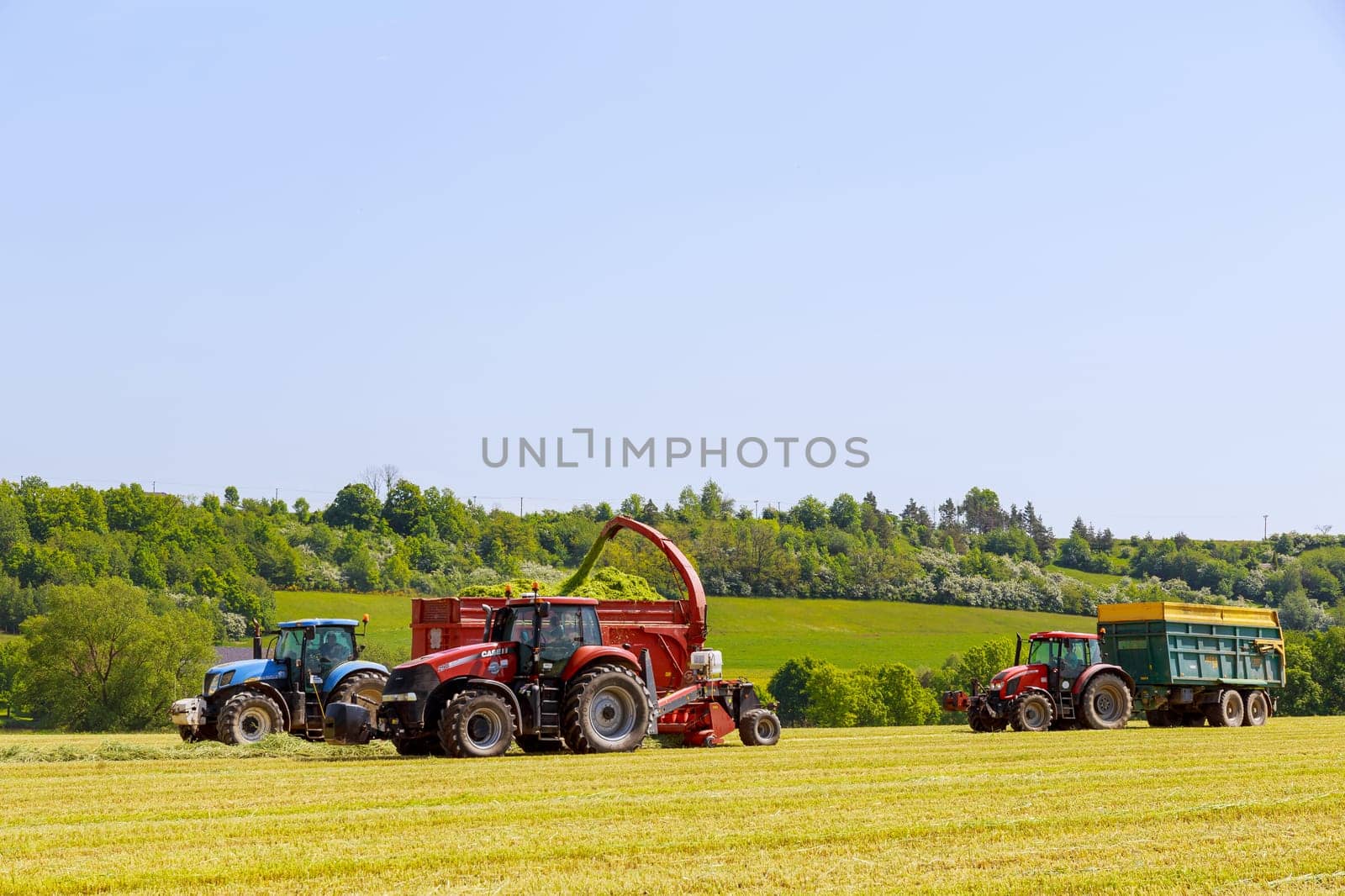 Skutech, Czech Republic, 13 June 2021: Forage harvester, cuts silage in the field and fills the tractor trailer. by Yaroslav