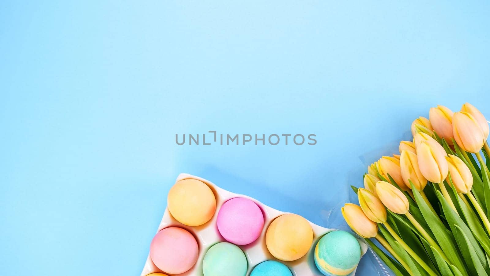 Colorful Easter eggs pack and yellow tulips on blue background with space for text. Spring flat lay. Pastel painted eggs in box. by JuliaDorian