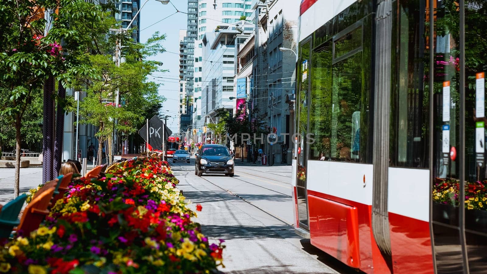 Street view of new Bombardier-made TTC streetcar on King street in Toronto. New Toronto Transit Commission tram on streets of Toronto. Toronto, Canada - 04 09 2022 by JuliaDorian
