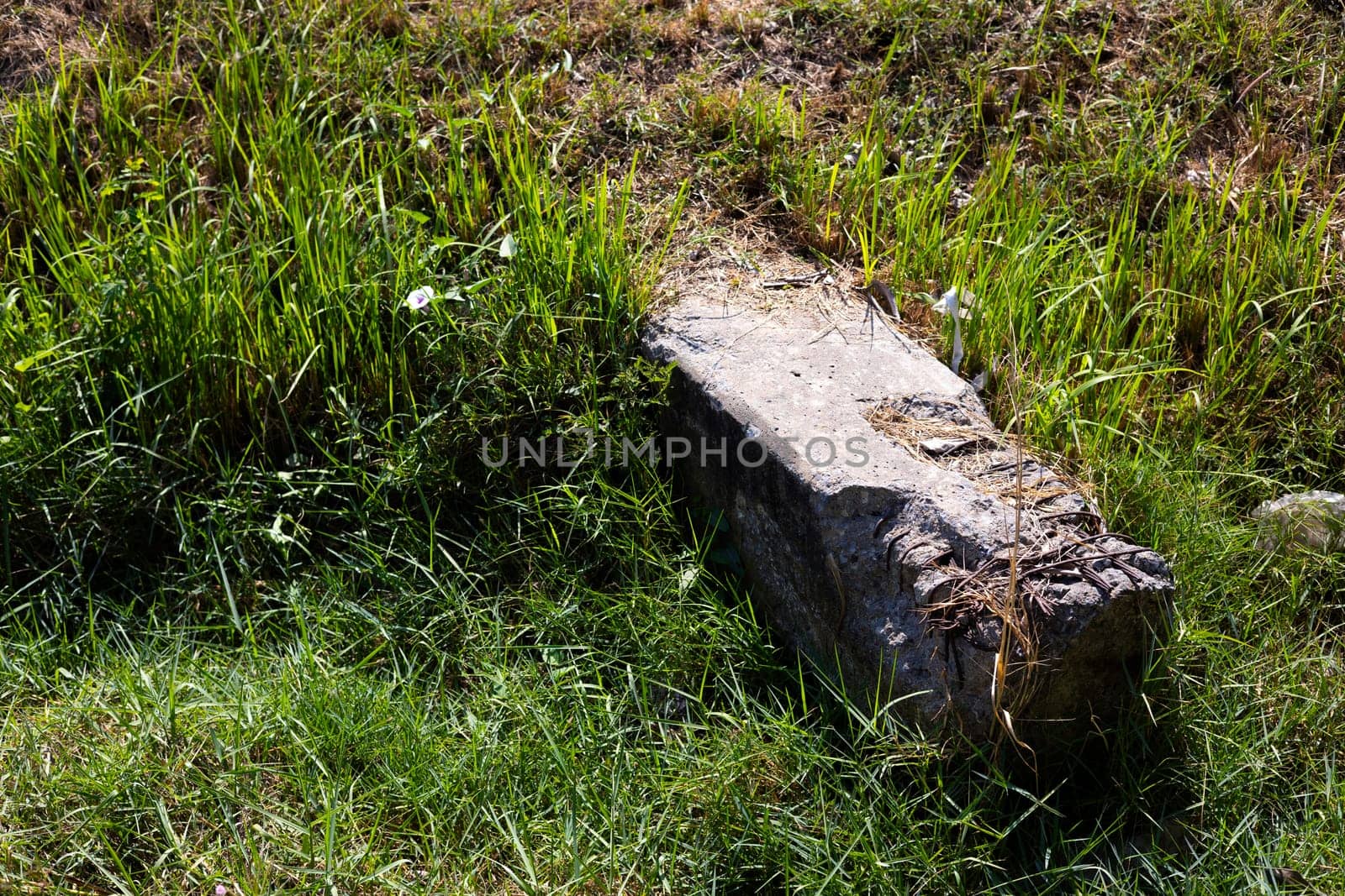 Concrete Pillars Lying On The Ground With Grass Growing And Dead Leaves by urzine