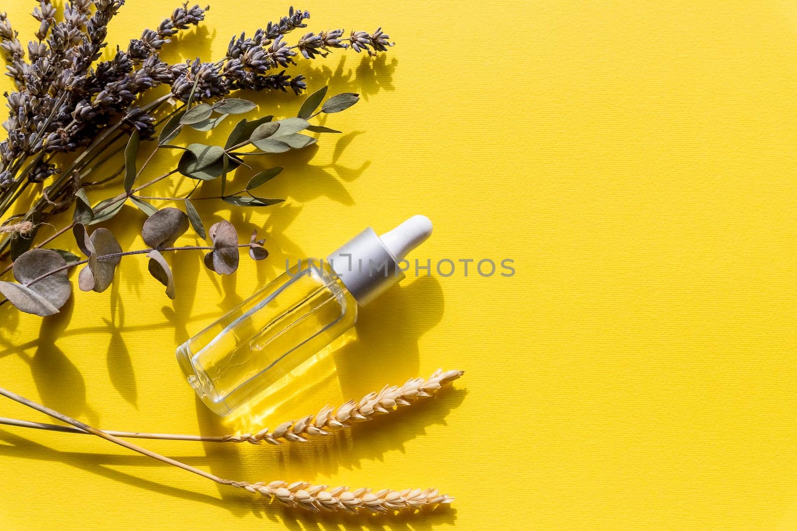 Lavender oil bottle on yellow background.Essential oil, natural remedies.relaxation bath. Glass bottle of lavender massage oil , beauty treatment.Copy space by YuliaYaspe1979