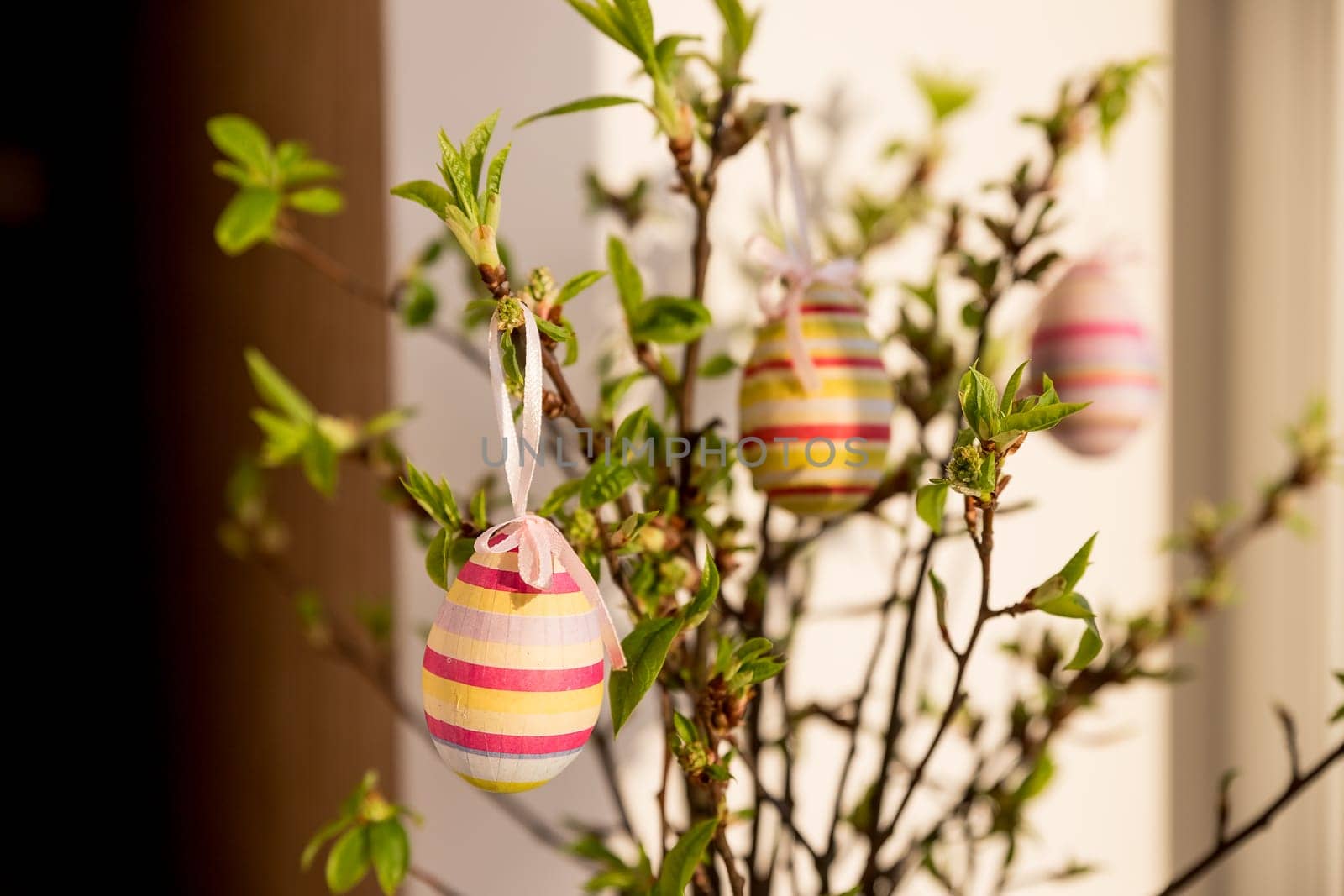 festive colorful Easter eggs.A bunch of purple, white and dotted Easter eggs hanging from tree branches with leaves inside of house on white background. Easter decoration by YuliaYaspe1979