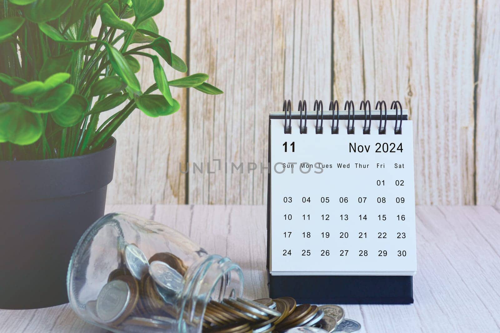 November 2024 desk calendar with stack of coins and potted plant on wooden desk. Business and finance deadline concept.