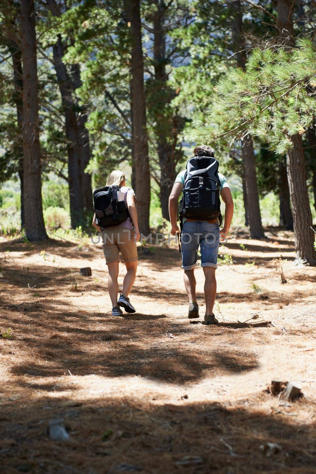 Couple of friends walking, trekking in nature and travel fitness, adventure or cardio in forest with wellness. Back of people hiking with backpack on path, eco friendly and carbon footprint journey.