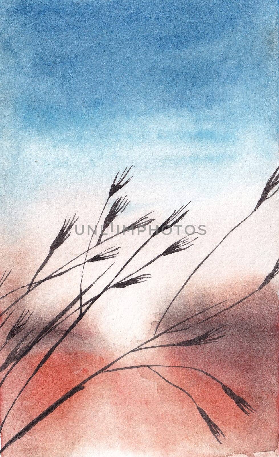 silhouette of wheat in field in sunset, watercolor illustration hand drawn