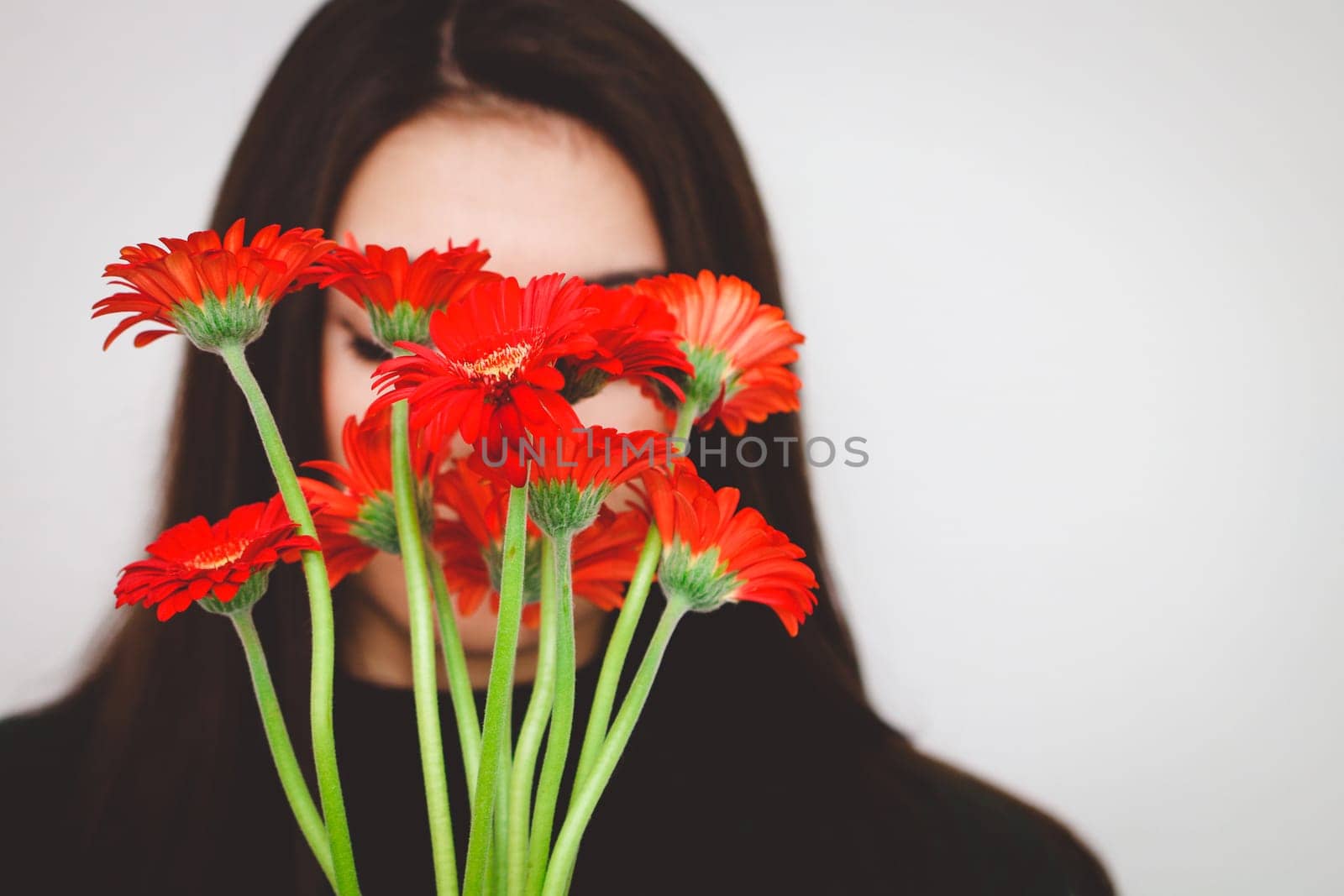 Portrait of one beautiful young white brunette with brown eyes, long hair in a green fashionable jacket covering her face with a bouquet of red gerberas against a white wall in the room, close-up side view.