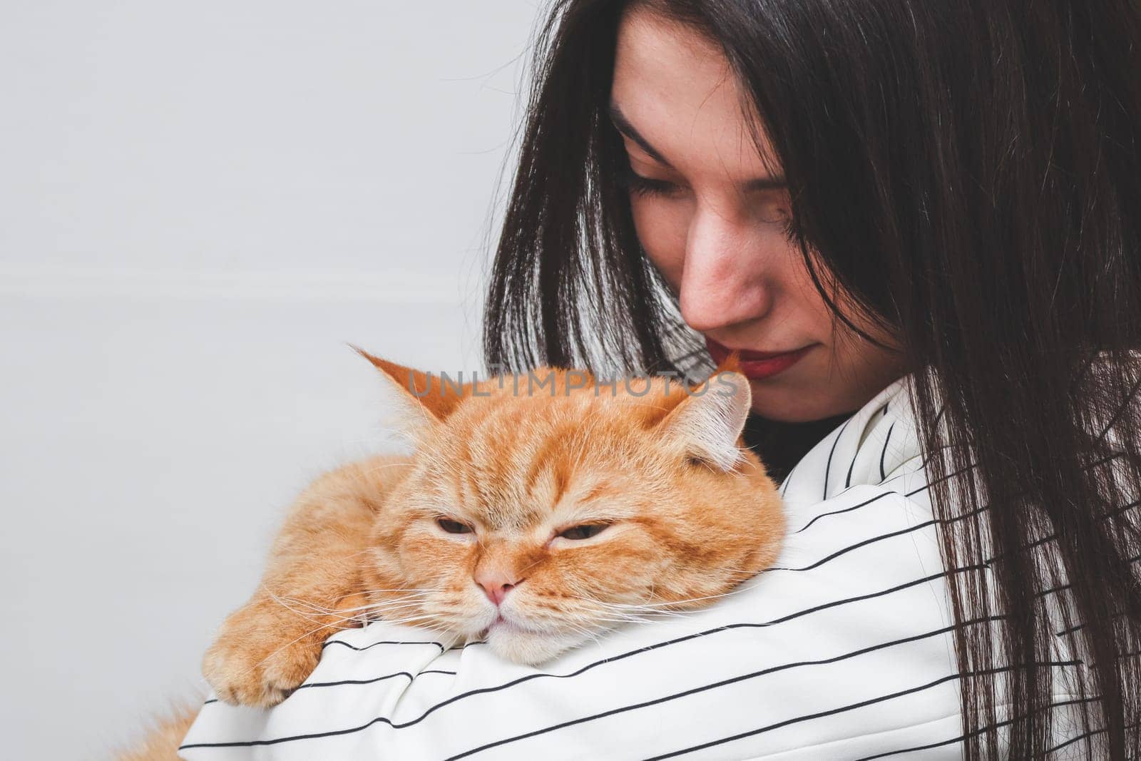 Portrait of one beautiful young Caucasian brunette with long and straight hair in a classic striped black and white jacket holding in her arms a red purebred cat with a satisfied emotion lying on her arm and hanging her paw against the background of a white wall in the room, close-up side view.