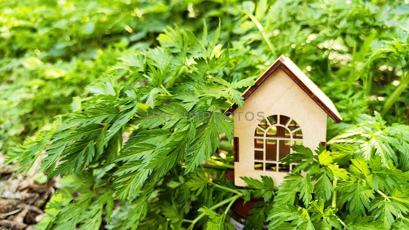 Miniature toy house in grass close up, spring natural background. symbol of family. mortgage, construction, rental concept. Eco Friendly home. template for design, Blurred and selective focus
