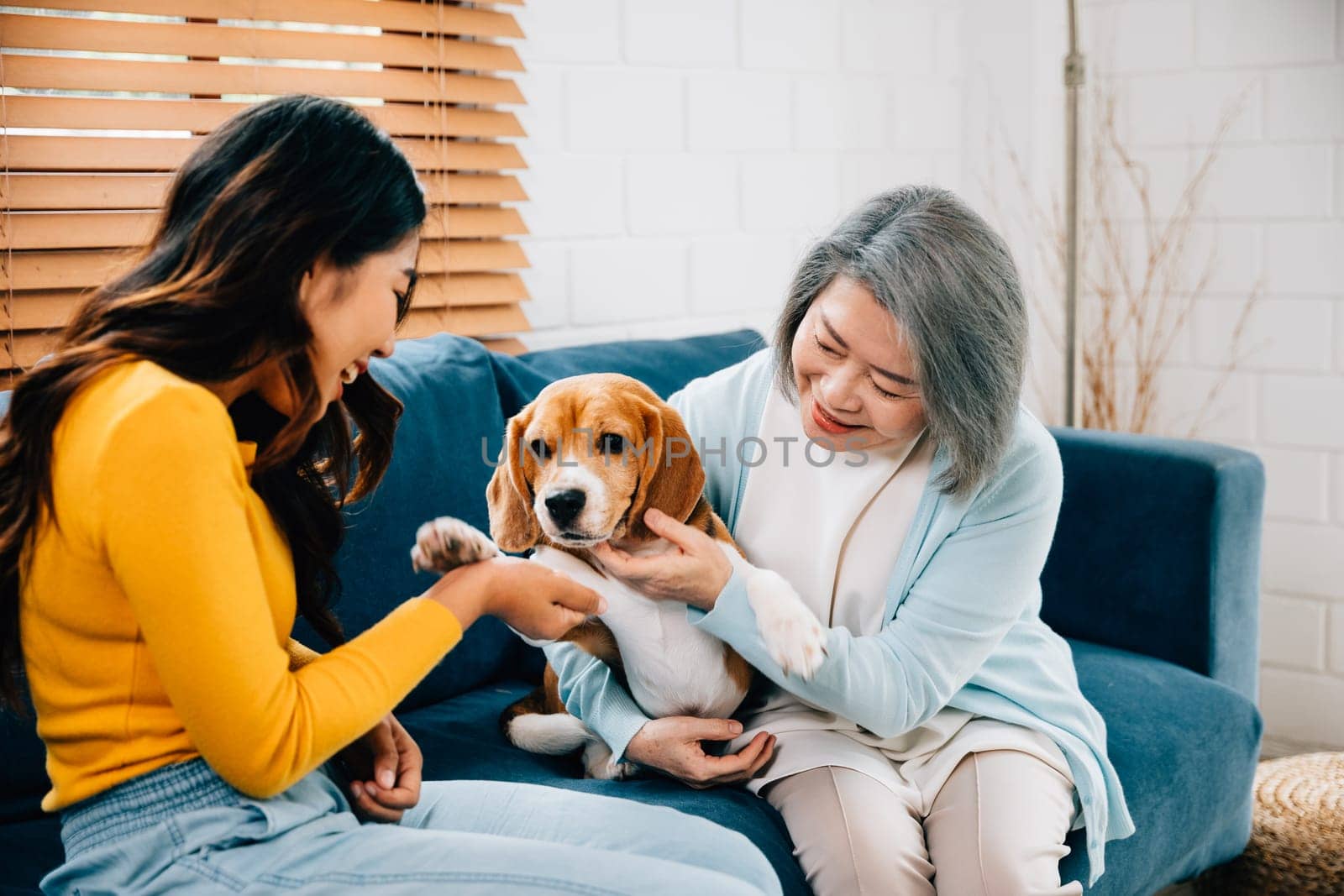 A joyful young woman, along with her mother, shares an affectionate moment of bonding with their Beagle dog on the sofa at home. Their family portrait exudes happiness and loyalty. Pet love by Sorapop