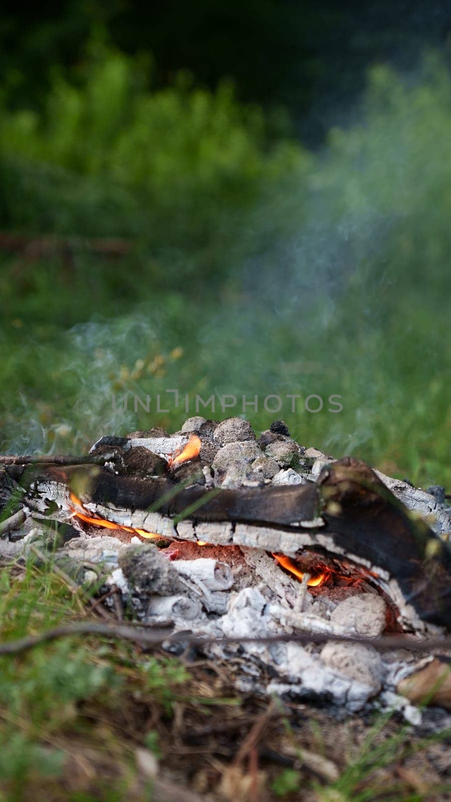 Red flames of teepee campfire on the ground at campsite in wild at overcast, closeup bonfire with firewood on backdrop, summer relax camping mood, low angle by JuliaDorian