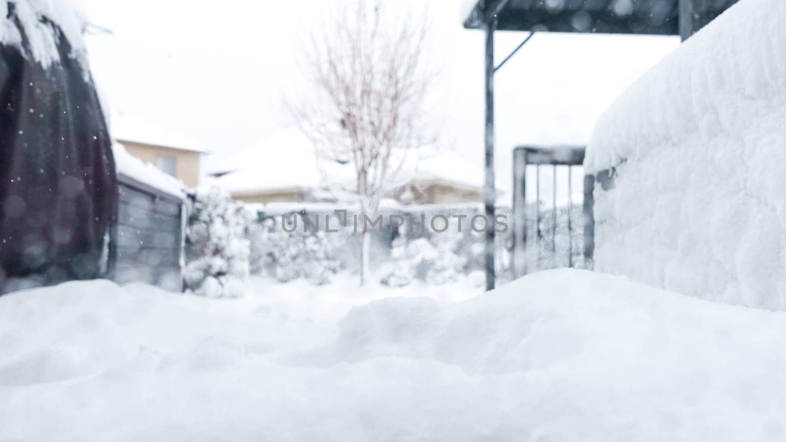 View of the trees, bushes, gazibo on backyard in heavy snowfall with blizzard and wind gusts against the background