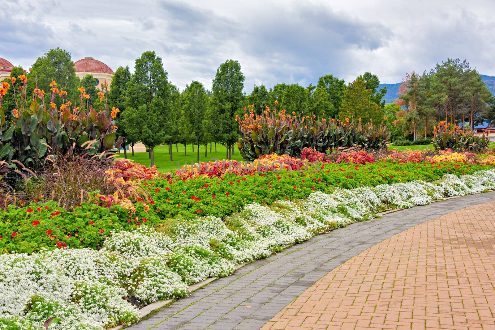 Wide open meadow in a park with paved pathway and blossoming flowers along the way. Kelowna, British Columbia