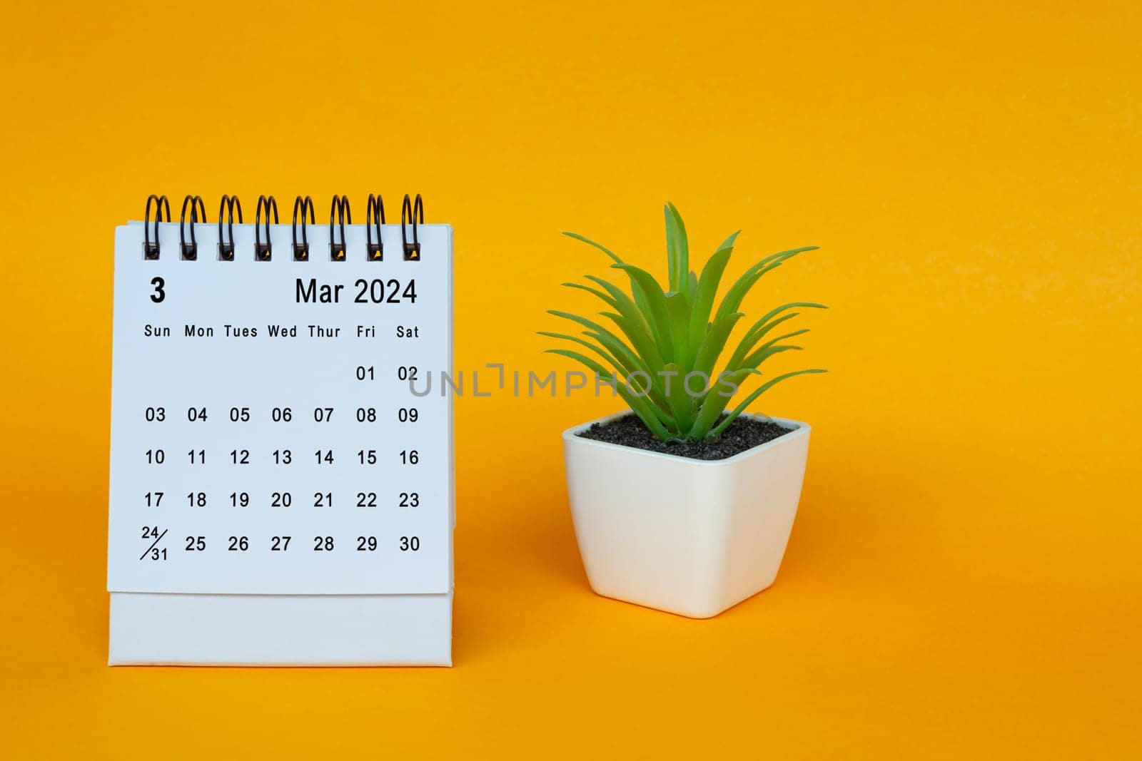 March 2024 desk calendar with potted plant on yellow background. Copy space.