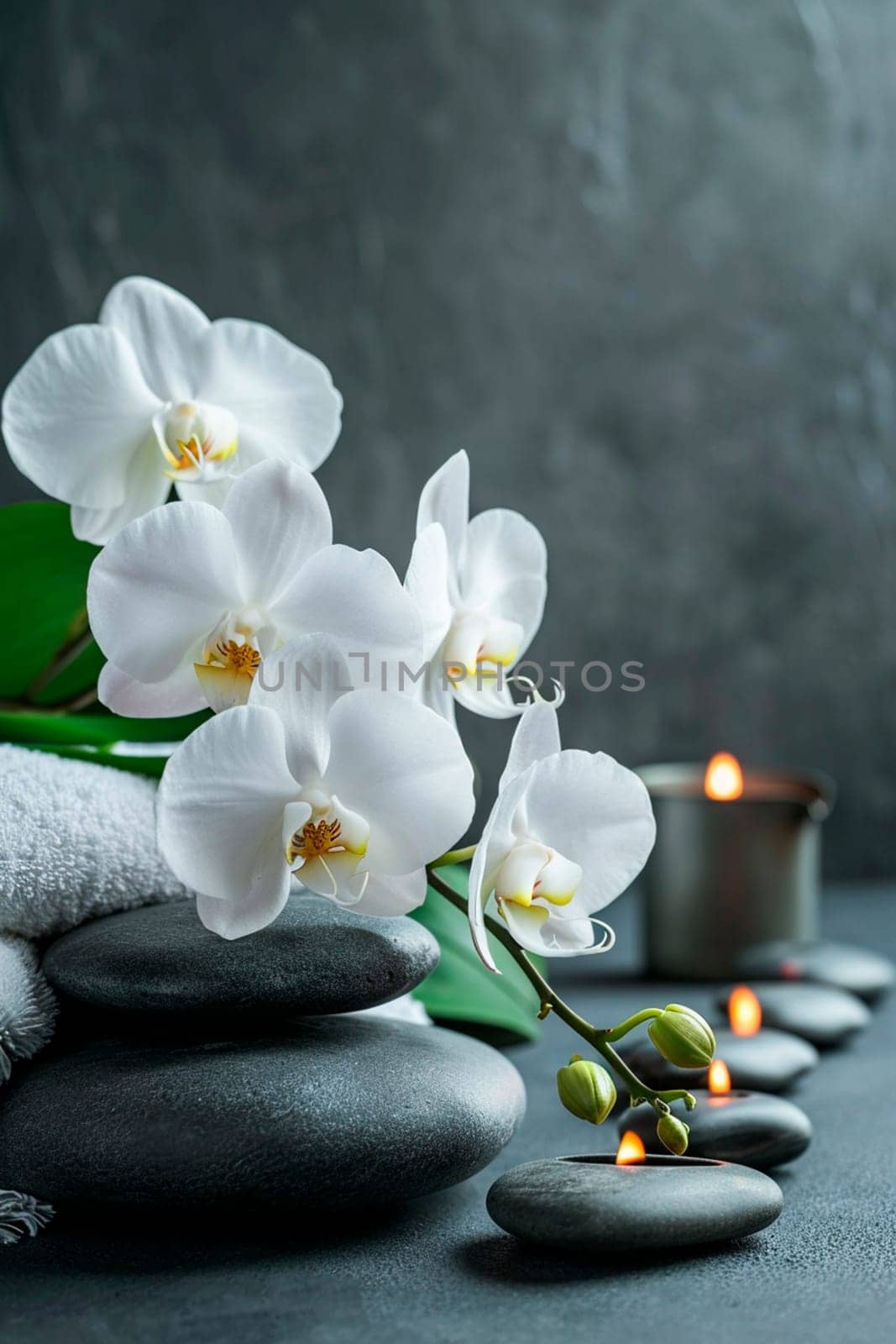 Orchids and stones on a gray spa background. Selective focus. Nature.