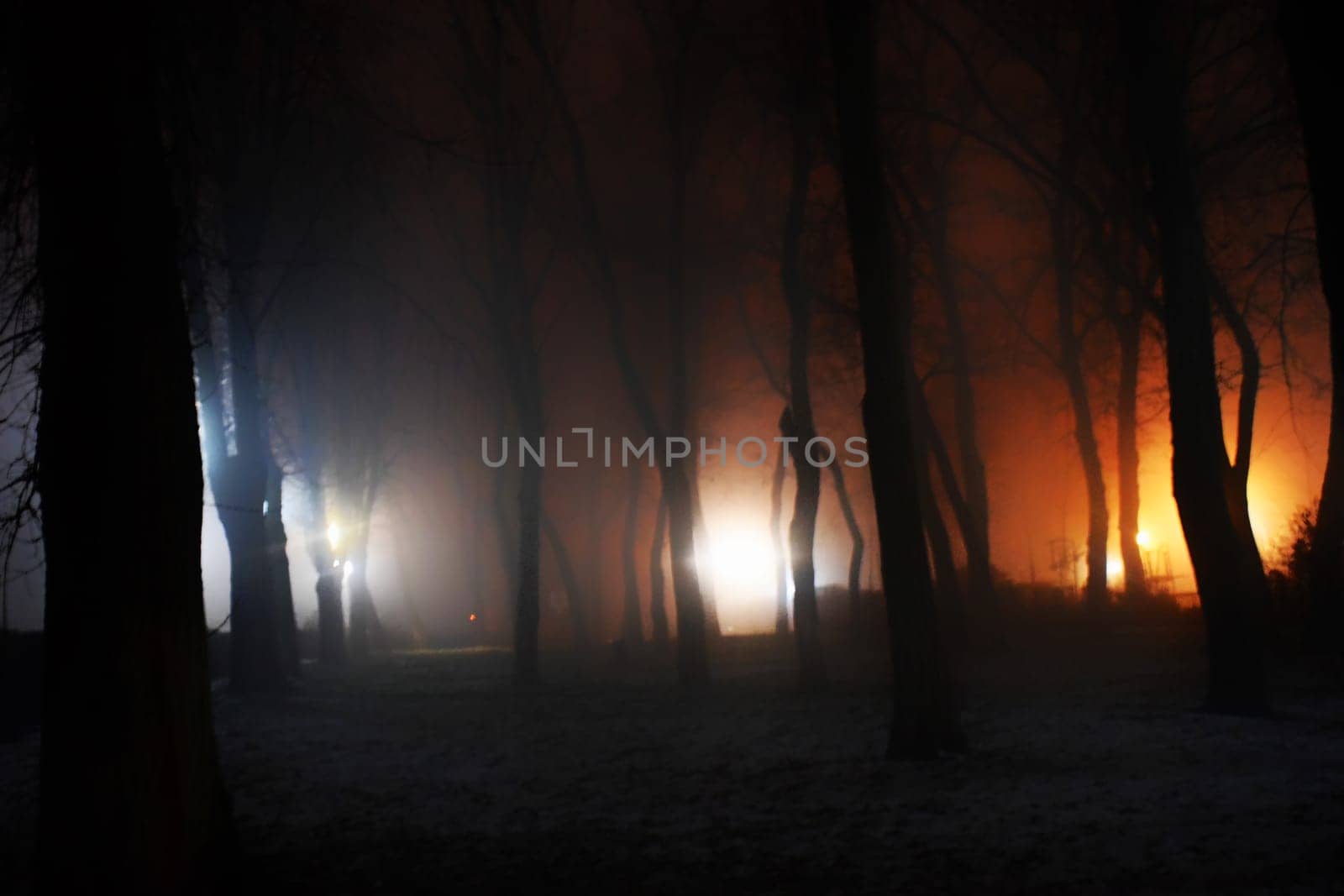 Happy Halloween holiday background with copy space. Dark landscape with creepy trees and moon. Fairytalle forest with fog. Ominous sky on Halloween night.