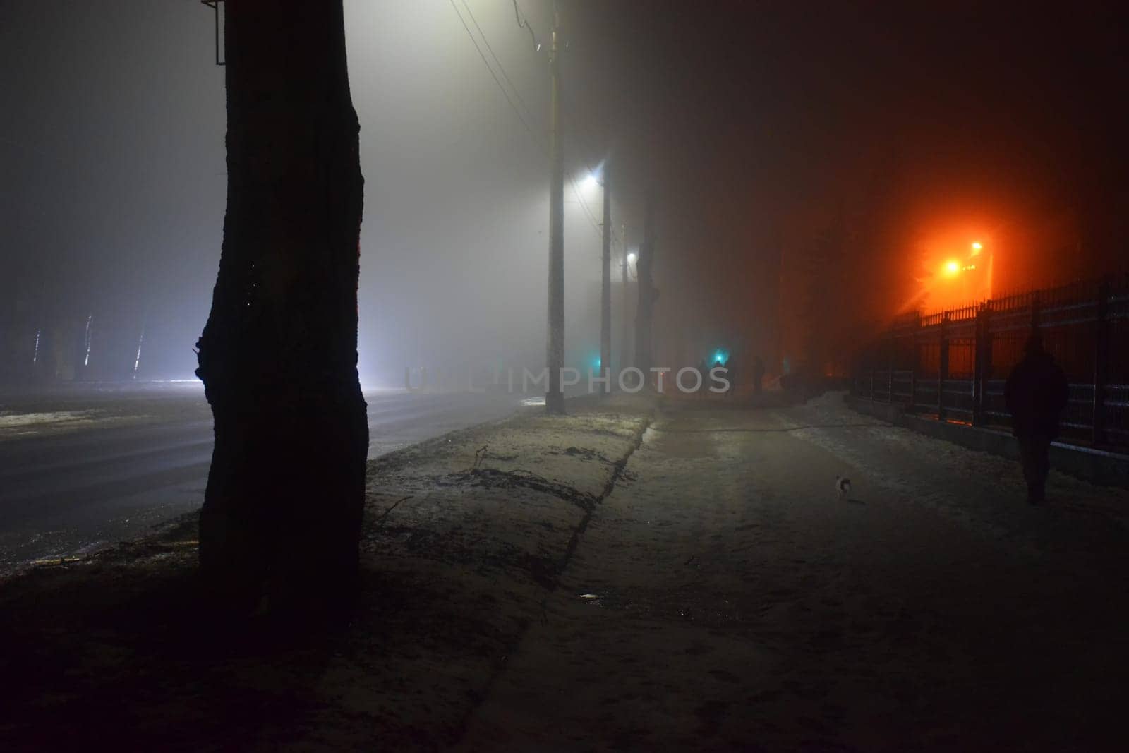 defocused night city life: cars, cyclist and street by IaroslavBrylov