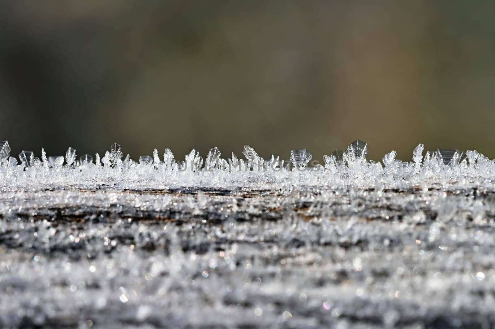 Beautiful frost in nature. Frosty morning in winter - low temperature.