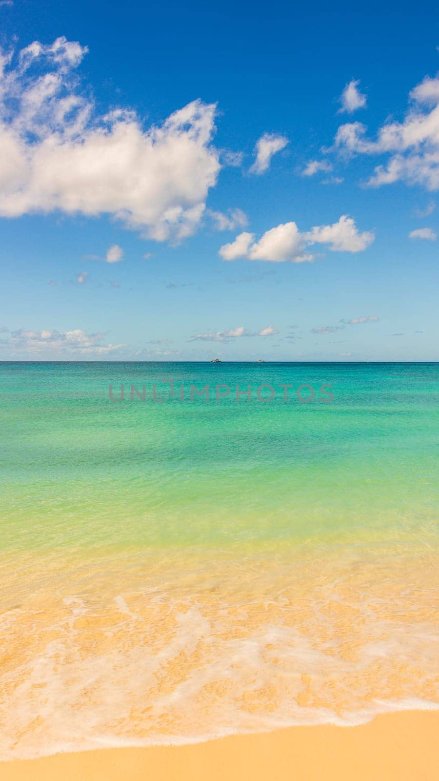 Barbados Island's Sandy Paradise Beach, Caribbean Island