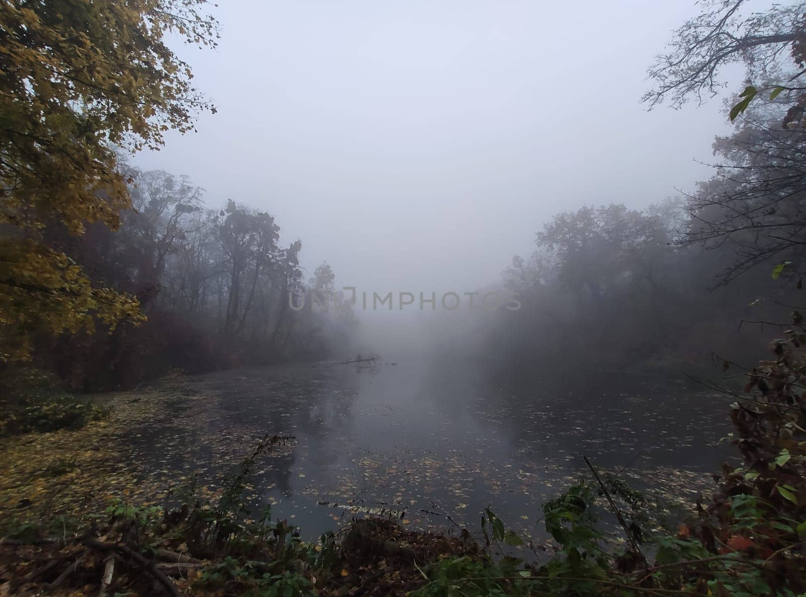 Cinematic shot of a foggy autumn day in a forest A lake and trees decorated with autumn colors and covered in fog.