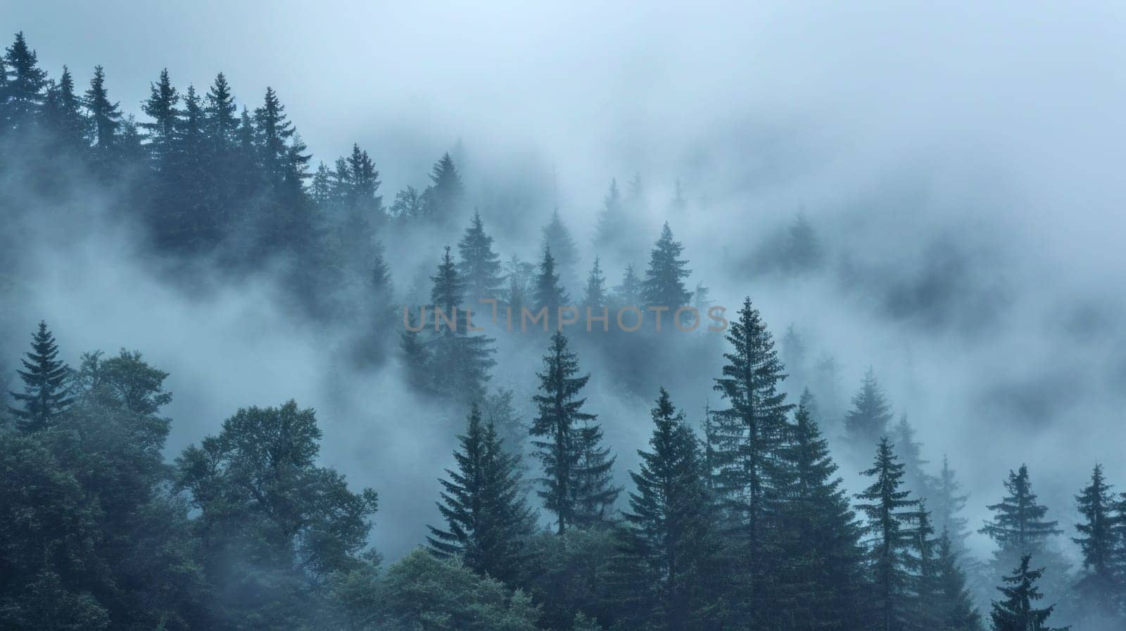 Enveloped pines in mist. Copy space. AI generated. by ChikaArt