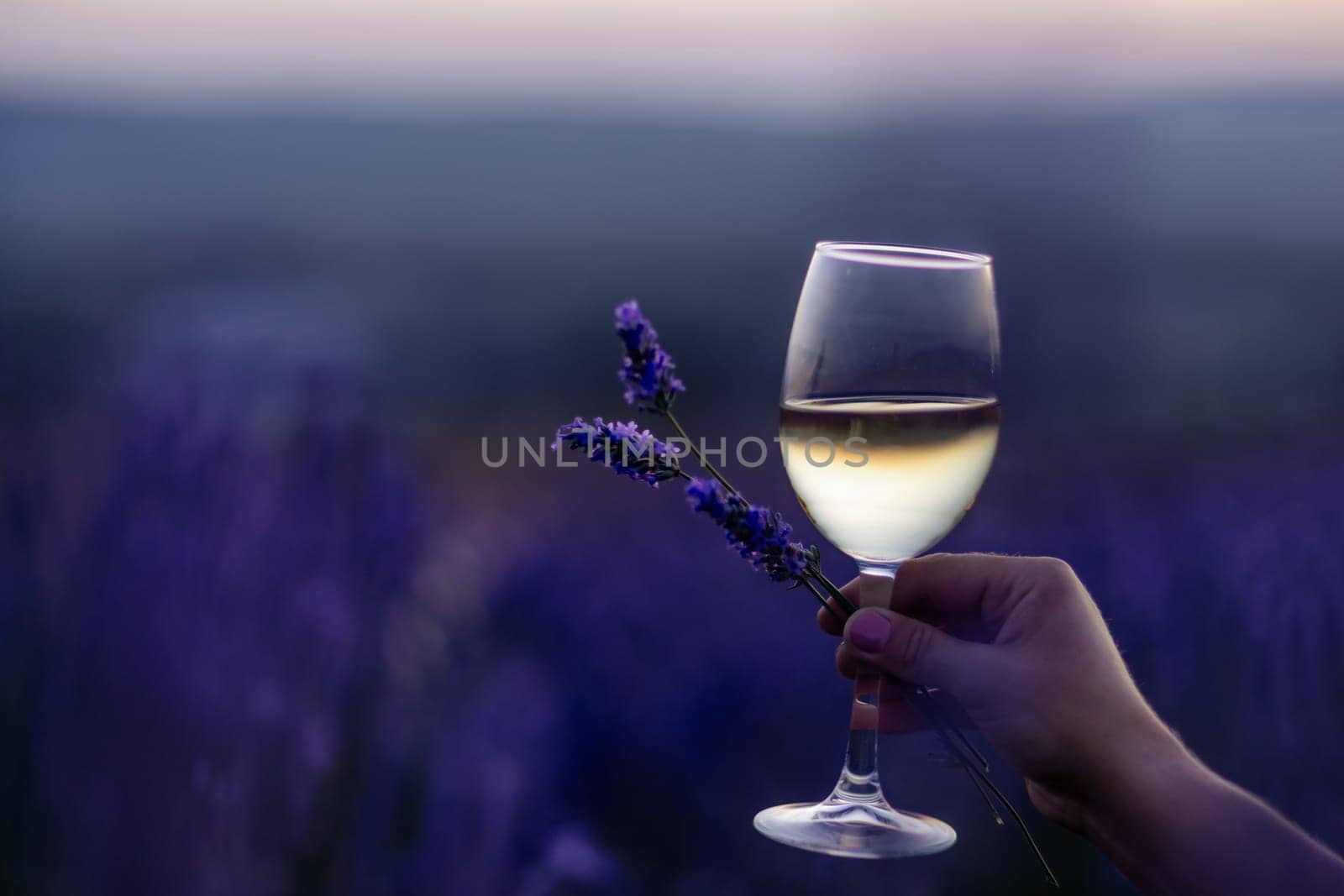 Glass white wine lavender field. Woman hand holds a glass with lavander and wine in the Lavender field at sunset Violet flowers on the background.. Conscious consumption. Wellness and natural concept.