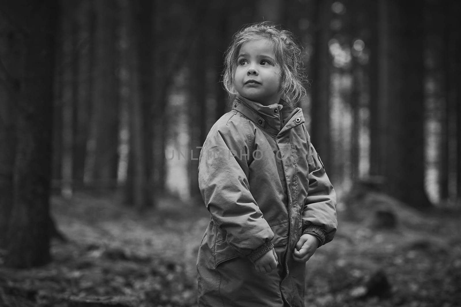Beautiful child in the forest in Denmark.