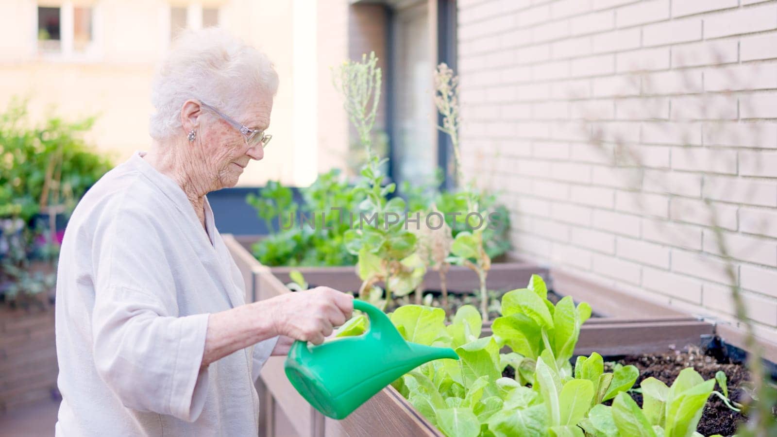 Video of a senior woman watering plants and a caregiver approaching to her in a geriatric