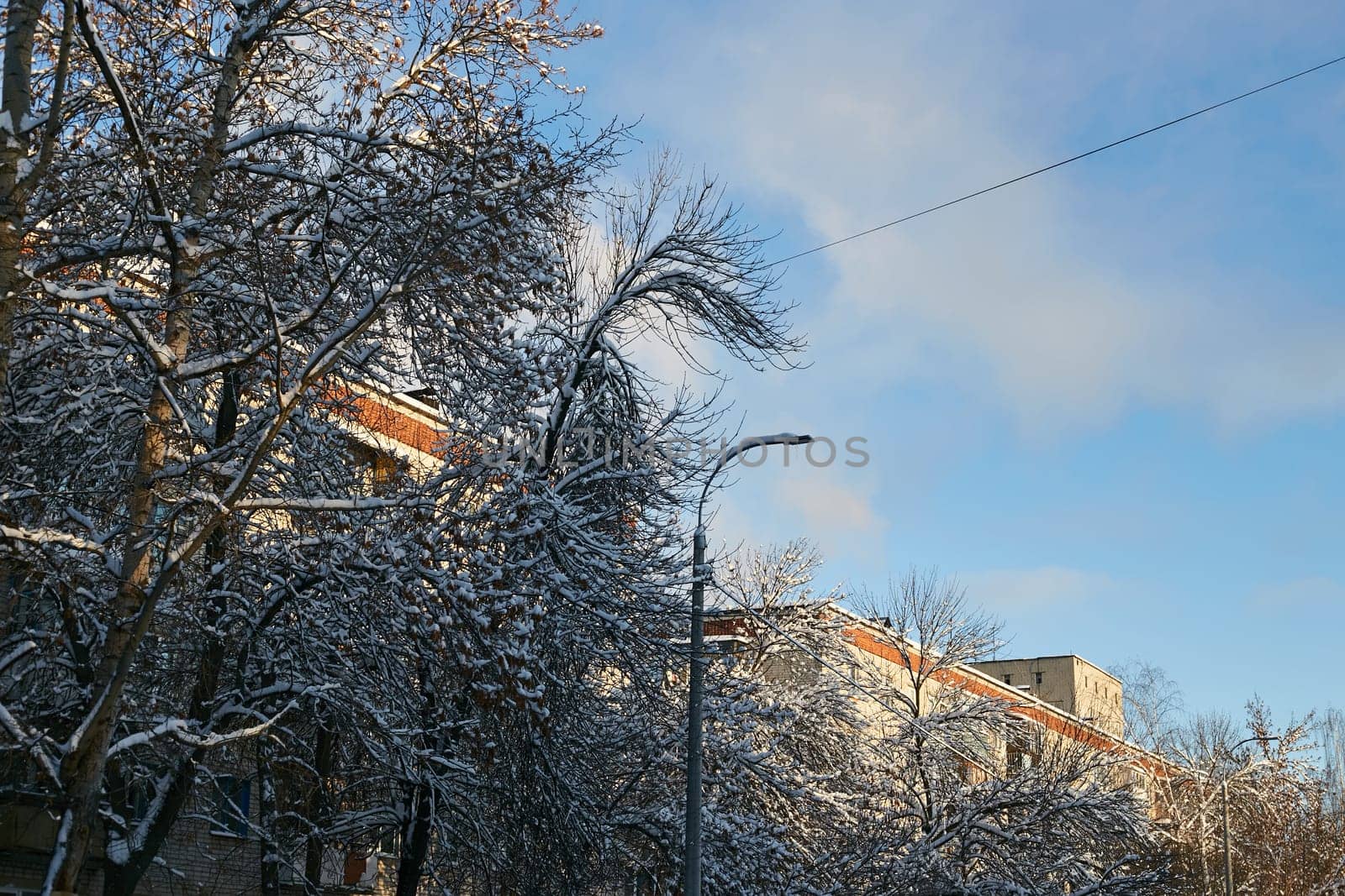 snow-covered trees blue sky and houses The urban by electrovenik