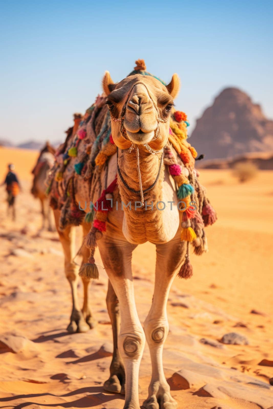 A caravan of camels rests in the desert against the backdrop of the red sea and high mountains. ai generated by Desperada
