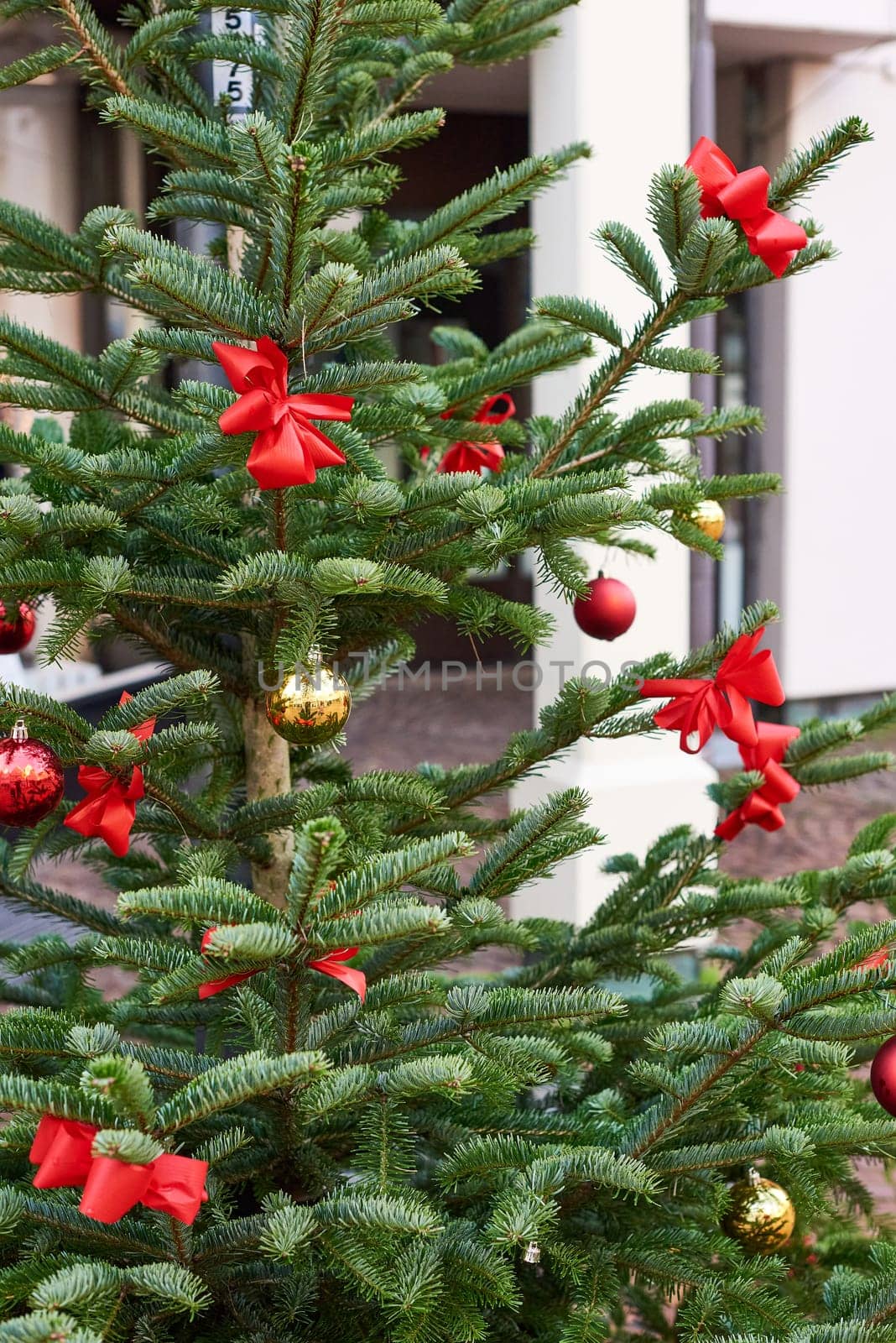 Festive Street Scene: Close-Up of Christmas Tree with Red Ornaments. Close-Up View of Festively Decorated Christmas Tree on the Street with Red Ornaments. Immerse yourself in the holiday spirit with this captivating image capturing the beauty of a meticulously decorated Christmas tree on the street. The close-up shot highlights the intricate details of the festive red ornaments, creating a visually stunning and heartwarming scene. Perfect for conveying the warmth and joy of the holiday season in your creative projects.