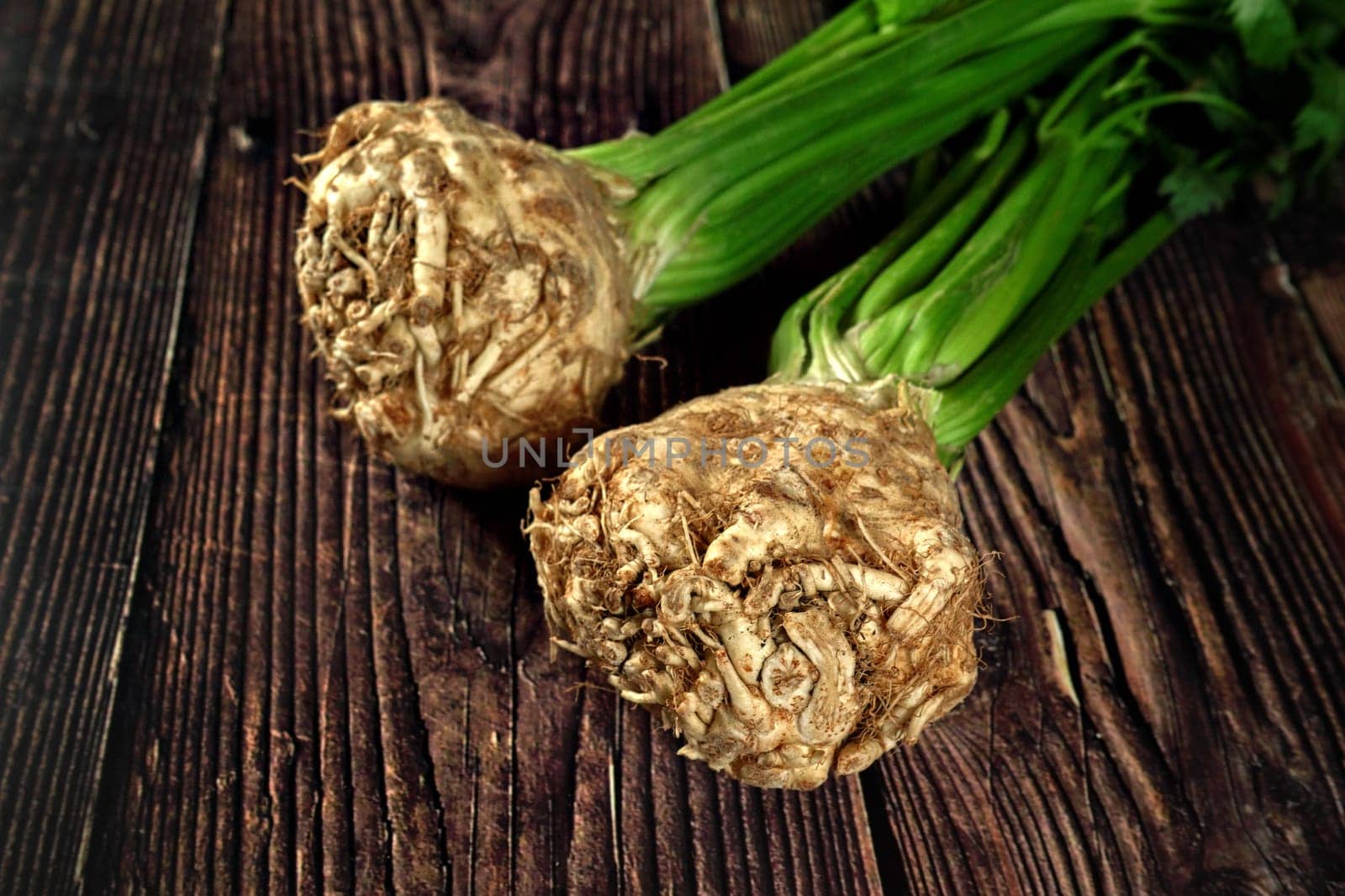 Celery root with green leaves on dark wooden board