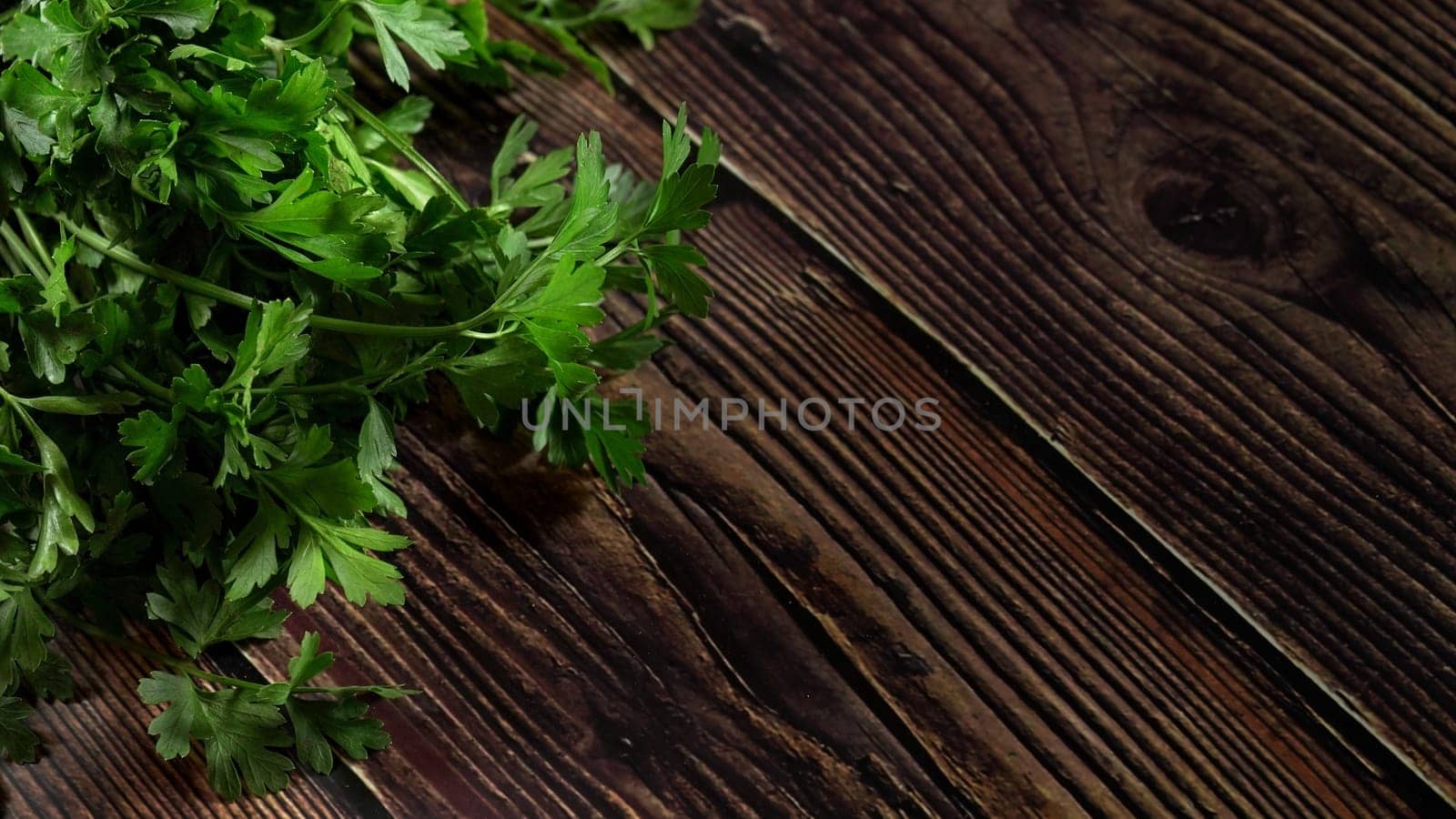 Green parsley leaves - used as herb in kitchen - on dark wooden board, wide banner by Ivanko